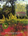 Native Texas Plants : Landscaping Region by Region