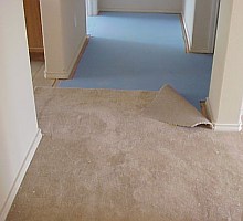 The carpet cushion is shown in the upper part of the picture, and the carpet is installed on top of it.