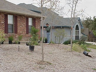 Following the original plans by the landscape architect, the landscape company starts to place the plants where they belong.