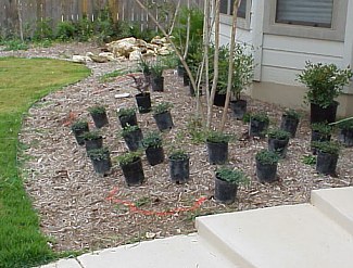 Another view of the backyard.  The orange paint on the lower part of the picture shows where a rock will be placed.