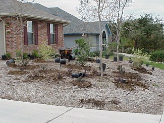 and the planting did not take very long.