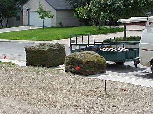 The grass is delivered.  